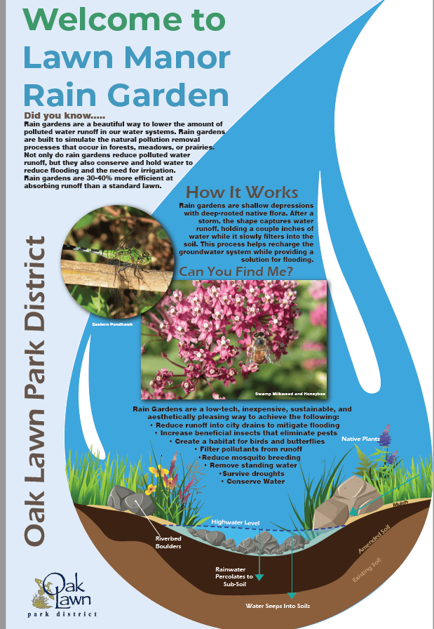 Rain Garden Info