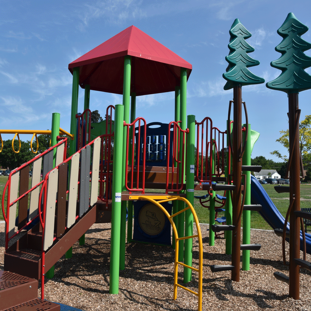Carpenter Park Playground