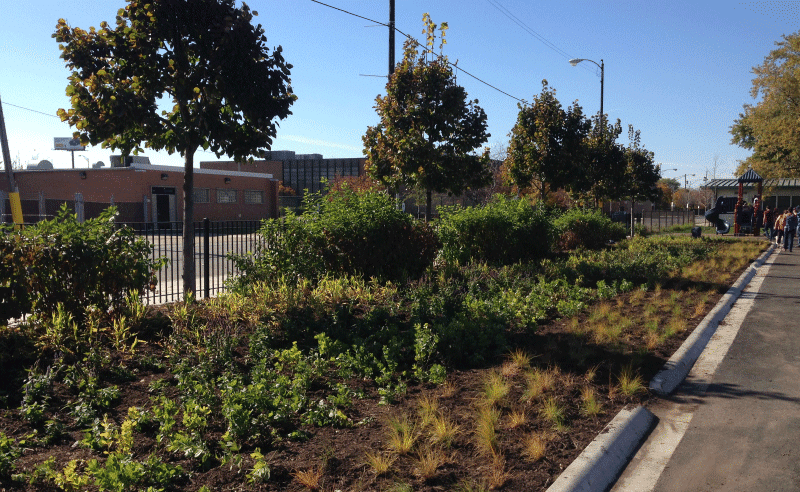 Leland Elementary Playground - Green Buffer