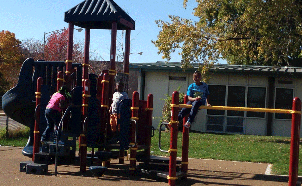 Leland Elementary Playground - Playground Fun