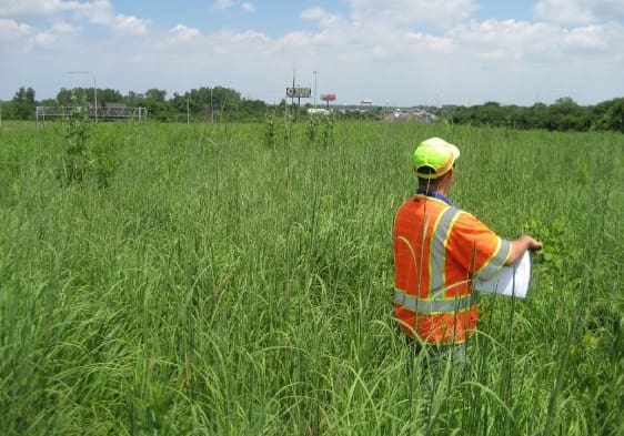 Upland Design - Chicago Fire Complex Landscape