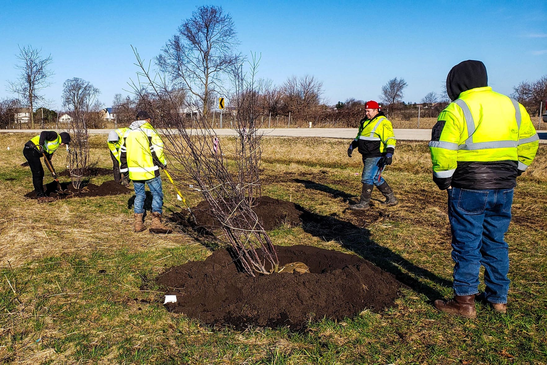 upland Illinois tollway planting trees